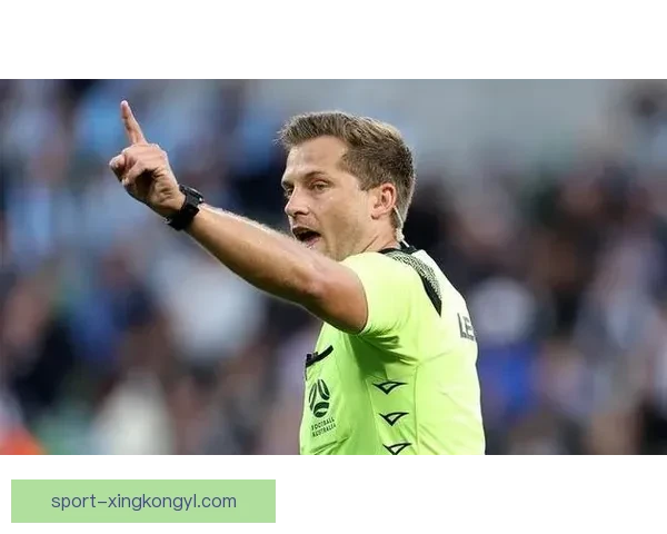 中越裁判亚历山大金塔基VAR